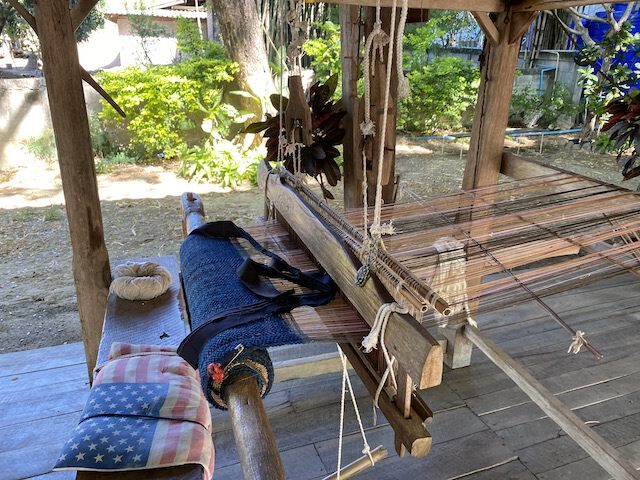 オーガニック コットン100%