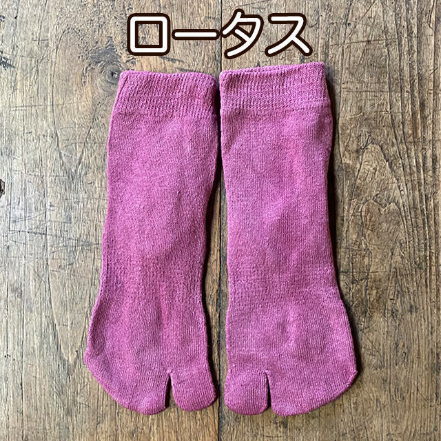 ロータス
