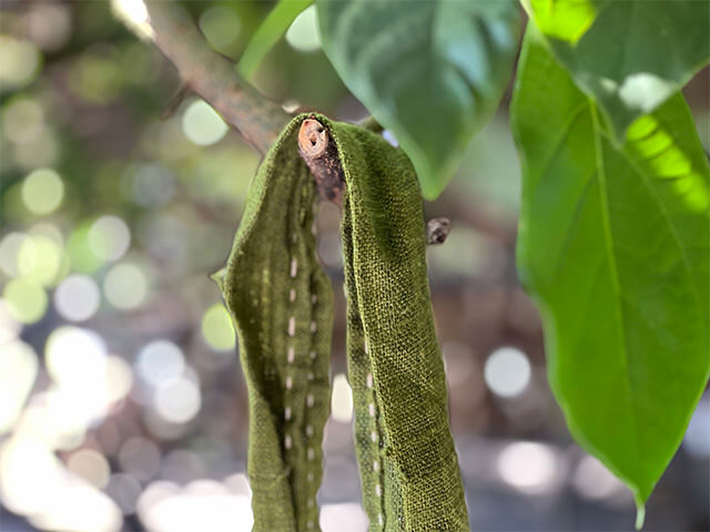 HEMP100% カレン族 ショルダーバッグ 