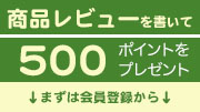 商品レビューで500ポイント
