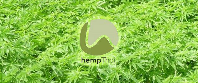 hempThai