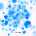 『Shalom』LILY & NAOTO
