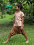 asana KIDS ヘンプコットン 薄手 NEW 2WAY パンツ・草木染め