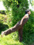 asana オーバーオール・草木染め