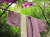 asana HEMP100% 帯