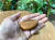 チーク WOOD 箸置き