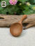 チーク WOOD 茶さじ