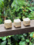 BAMBOO 小物入れ