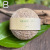 HEMP100% 細糸・きなり B