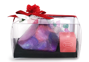 2018giftMOMopal.png