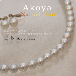 あこやナチュラルパール真多麻 8-8.5mm ネックレス1点、イヤリング/ピアス1点　計2点セット