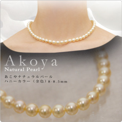 あこやナチュラルパールネックレス　ハニーカラー（金色） 8-8.5mm【1-2-2-1】
