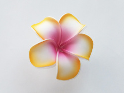 髪飾り　プルメリア(ホワイト×オレンジ×ピンク）
