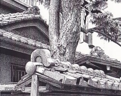 細密ぺん画アート【老木と瓦】