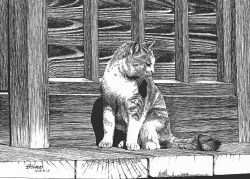 細密ぺん画アート【縁側でたたずむ猫】 細密ぺん画家、杉山八郎