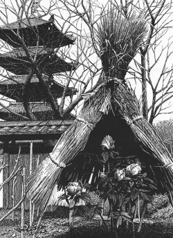 細密ぺん画アート【冬牡丹と五重塔】