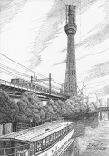 スカイツリーのぺん画アート【源森橋からの風景】