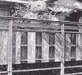 細密ぺん画アート【板塀の木陰】