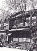 細密ぺん画アート【柳】
