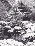 細密ぺん画アート【深雪の池】