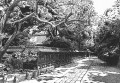 細密ぺん画アート【根津神社　透かし塀】