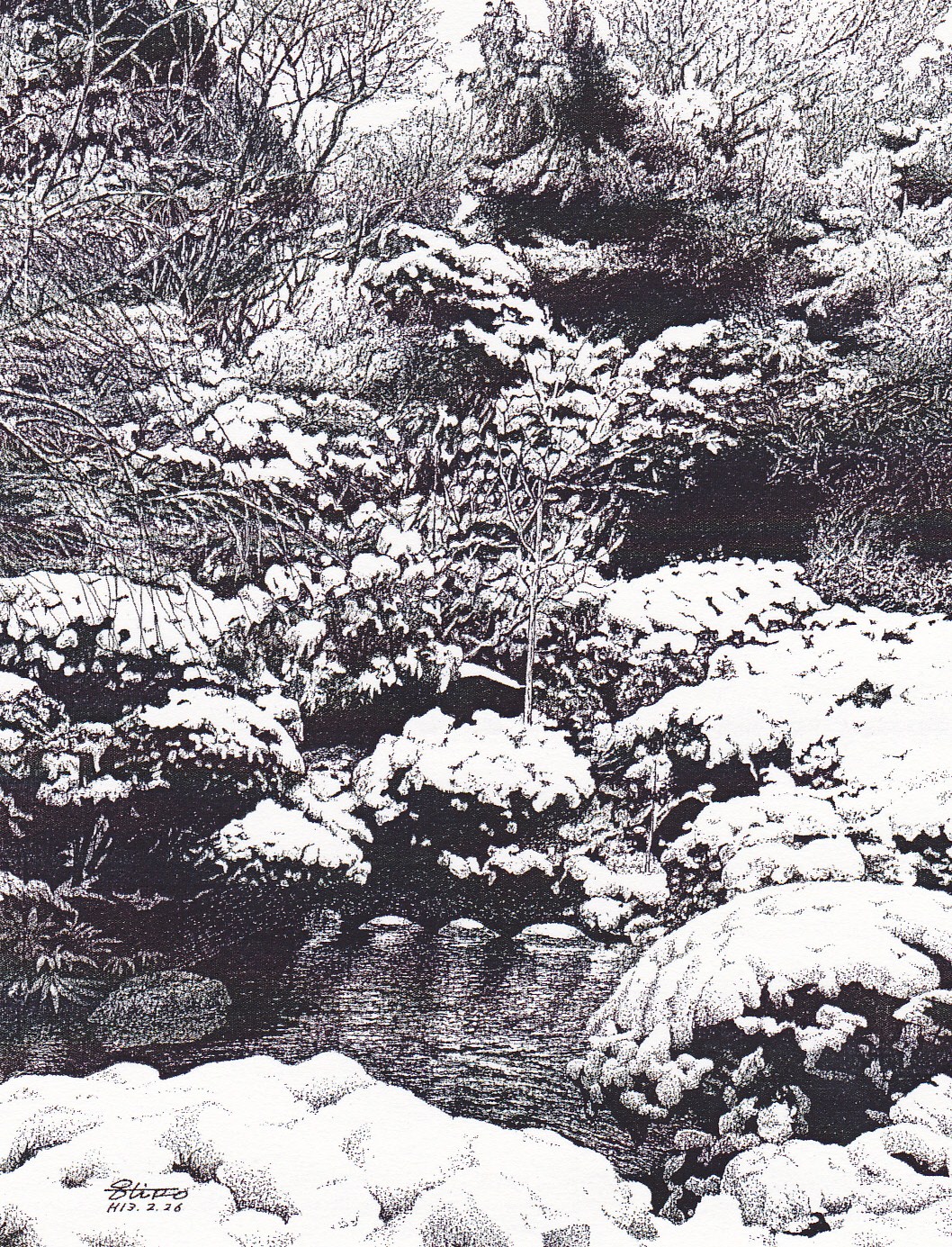 細密ぺん画アート【深雪の池】