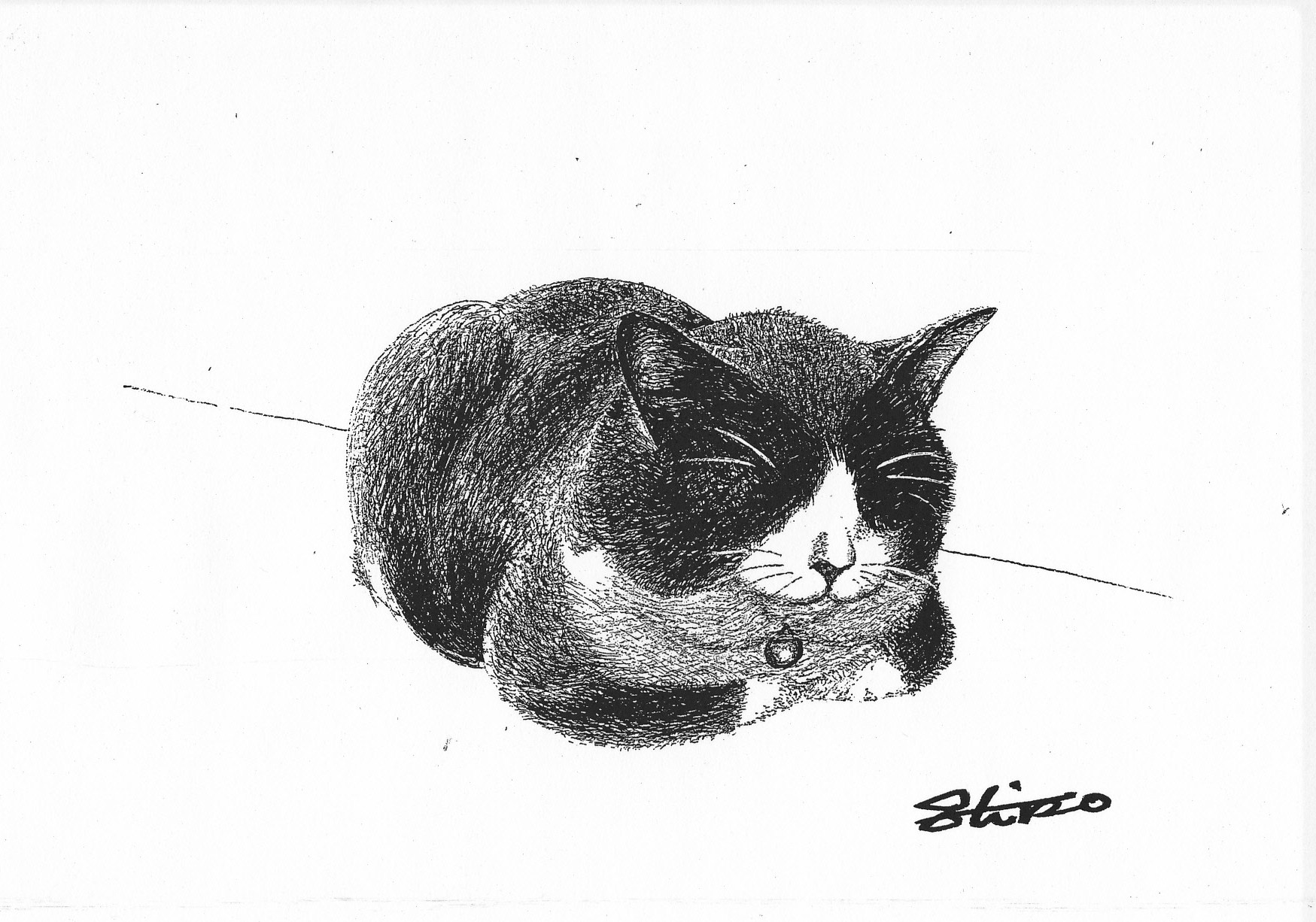 細密ぺん画アート【眠り猫】