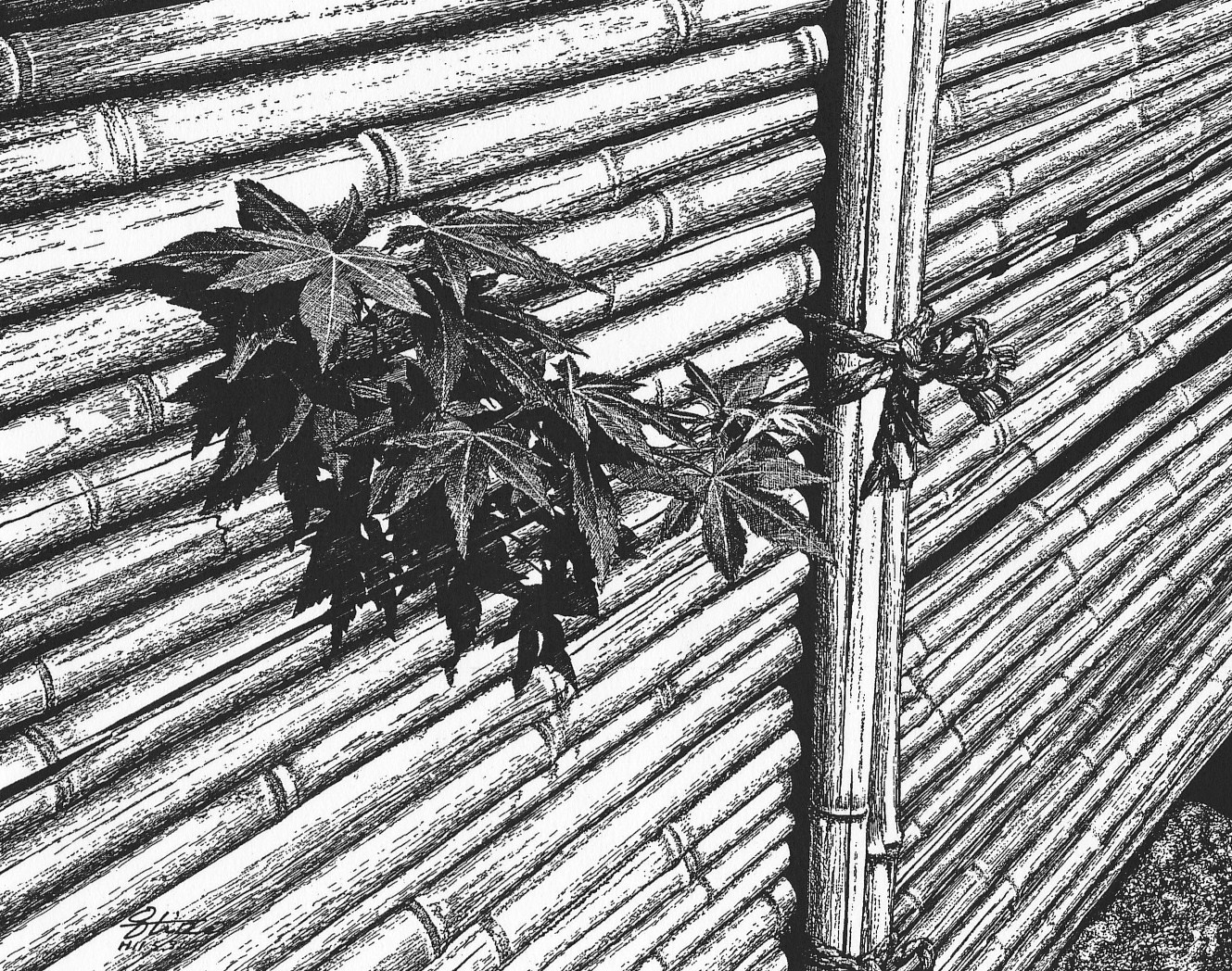 細密ぺん画アート【竹垣の紅葉】