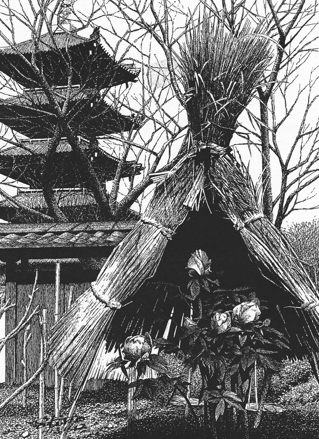 細密ぺん画アート【冬牡丹と五重塔】