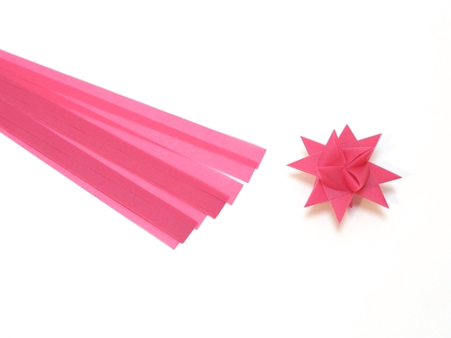 フレーベルの星　ローズ2センチ1