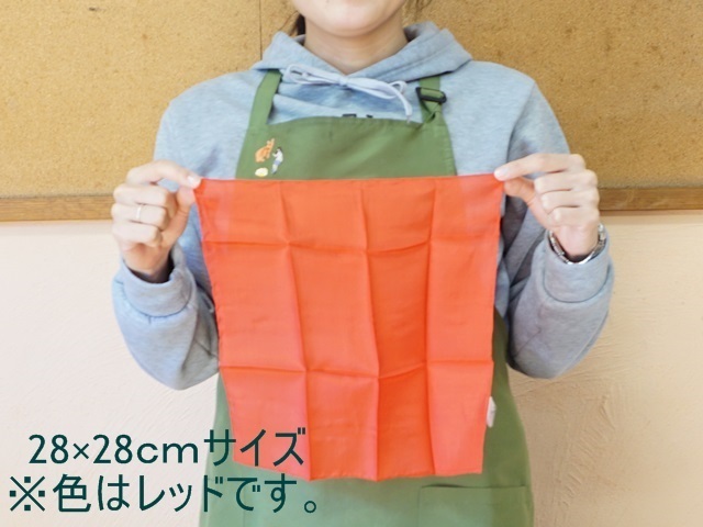 カラーシルク28×28