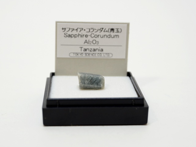 マンボウガイ標本用 タンザニア ワニ革 長財布 カイマンワニ×牛革型押し 本革 財布 ロダニア