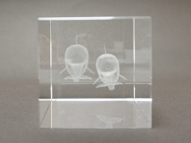 3Dクリスタルアート Amazon.co.jp: 3Dクリスタルアート 風水龍 日光 東照宮 お土産 6