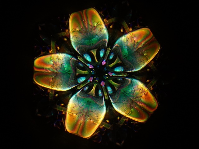 細野さん万華鏡5A