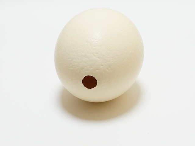 【ゆう子】ダチョウの殻　エッグアート用 エッグアート用 ダチョウの卵？ 卵の殻 - メルカリ