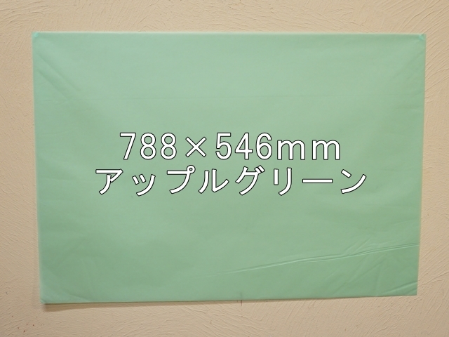 【1406-27】【特大Ｂサイズ】ローズウィンドウペーパー/単色5枚入/788×546ｍｍ/アップルグリーン【メール便不可】【新梱包タイプ】