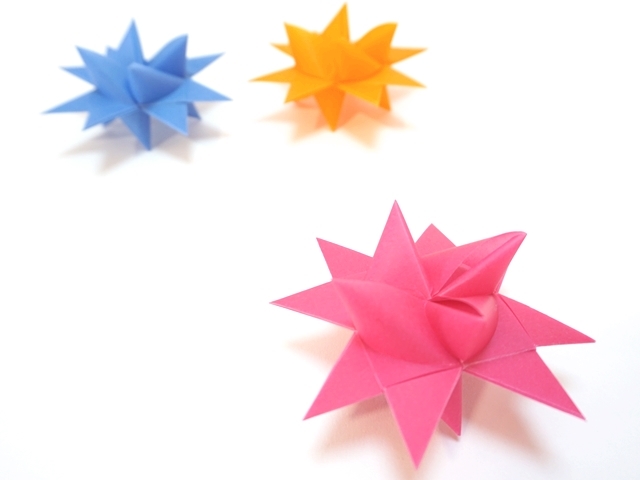 フレーベルの星　ローズ2センチ2