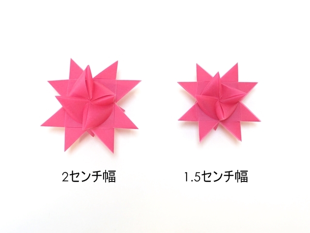 フレーベルの星　ローズサイズ比較