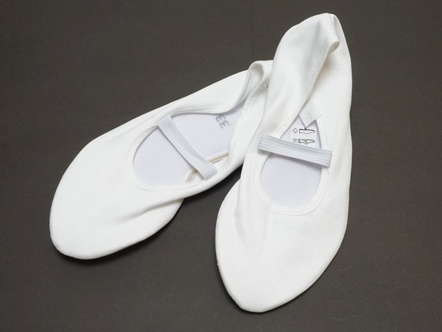 オイリュトミーシューズbleyer