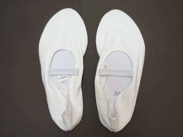 オイリュトミーシューズbleyer