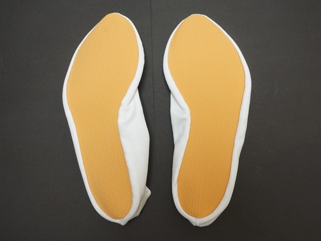 オイリュトミーシューズbleyer