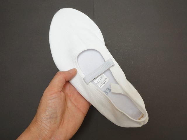 オイリュトミーシューズbleyer