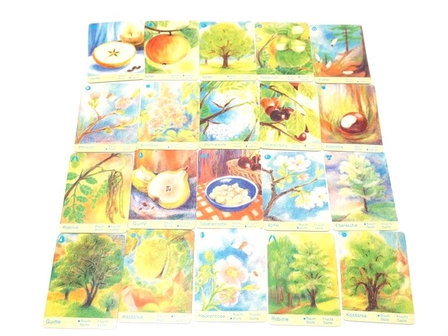 ネイチャーカルテット