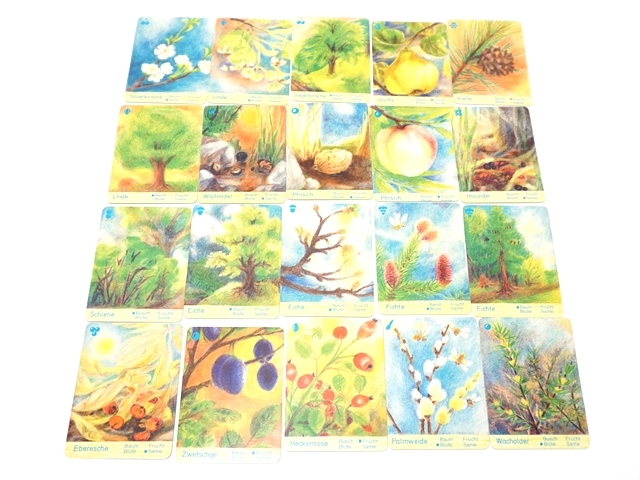 ネイチャーカルテット