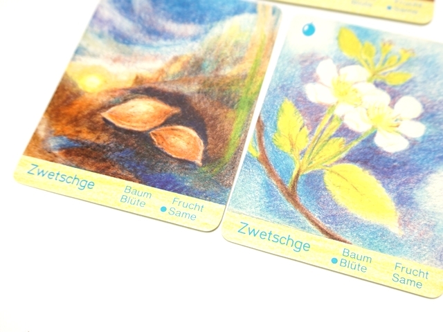 ネイチャーカルテット