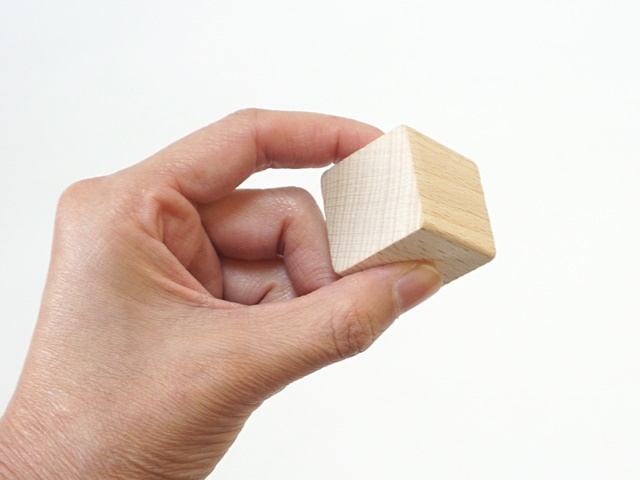 アルビンプライスラー積み木215318