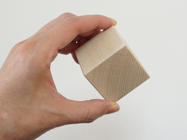 アルビンプライスラー積み木206026