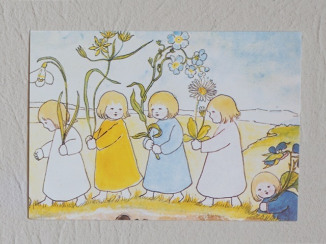 ねっこぼっこポストカード