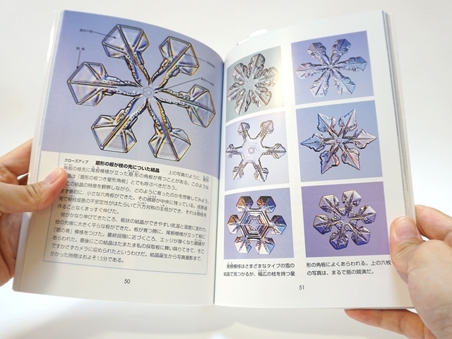 雪の結晶