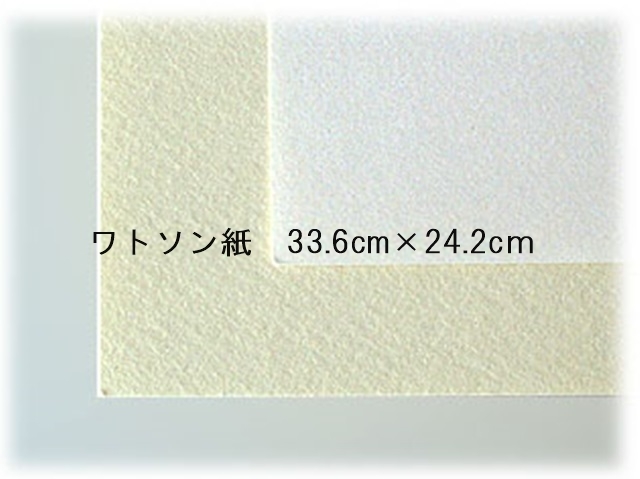 ワトソン紙33.6cm×24.2cｍ